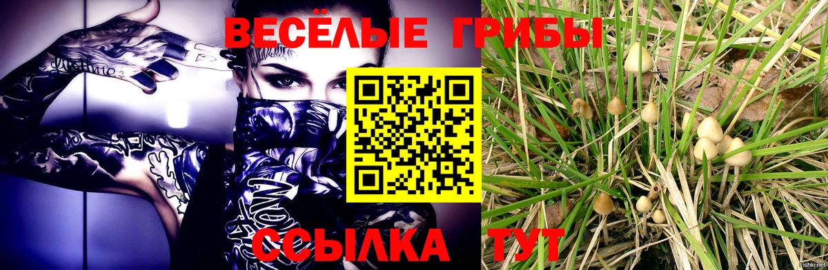 Семёнов  купить  сайты  Вход с VPN  Галлюциногенные грибы GOLDEN TEACHER 